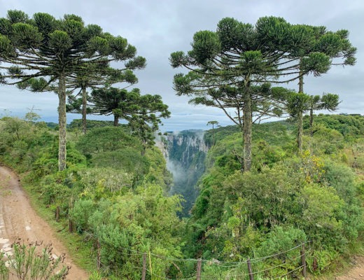 Parque Nacional Aparados da Serra com crianças