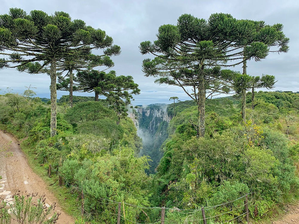 Parque Nacional Aparados da Serra com crianças